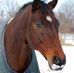 Deborah Howerton - Facebook