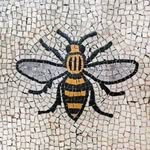 Deborah Hoyle - @grandmaoily - Instagram