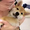 Deborah Hsu - @31699998153 - TikTok