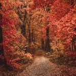 Deborah Huckaby - @huckaby111 - Instagram