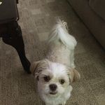Deborah Huckaby - @deborah.huckaby.14 - Instagram