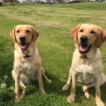 Deborah Hudson - @d3bs74 - Instagram