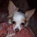 Deborah Huebner - Facebook