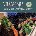 Deborah Huff - @deborahhuff211 - Instagram