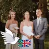 Deborah Hulbert - @deborah.hulbert - TikTok