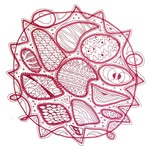 Deborah Humm - @dhumm - Instagram