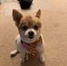 Deborah Hurd - Facebook