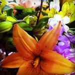 Deborah Hurd - @debhurd11 - Instagram