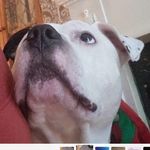 Deborah Hurd - @hduerbdorah - Instagram