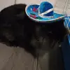 Deborah Hurtado - @deborah.hurtado2 - TikTok