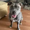 Deborah - @deborah.husbands - TikTok