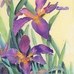 Deborah Innes - @deborahinnesart - Instagram