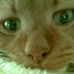 Deborah Innes - Facebook
