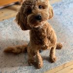 Deborah Innes - @deborah.innes - Instagram