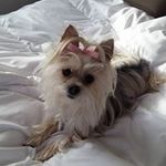 Deborah Jacobson - @deborah.jacobson.370 - Instagram