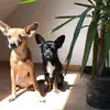 Deborah Jansen812 - @deborahjansen6 - TikTok