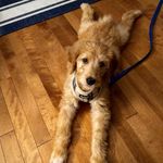 Deborah judd - @judd3473 - Instagram