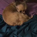 Deborah Justice - @deborah.justice.50746 - Instagram
