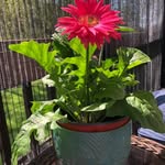 Deborah Keel - @deborahkeel - Instagram