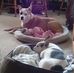 Deborah Keeling - Facebook