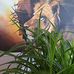 Deborah Keil - Facebook