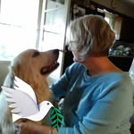 Deborah Keltner - @deborah.keltner - Instagram