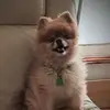 Deborah Kenney - @deborah.kenney4 - TikTok