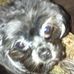Deborah Keown - Facebook