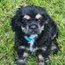 Debbie Kile - Facebook