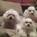 Deborah Killian - Facebook