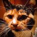 Deborah Killough - Facebook