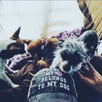 Debra Kimble - @debrakimble - Instagram