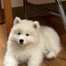 Debra Kimble - Facebook