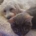 Debra Kirkman - Facebook