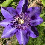 Deborah Knowles - @dpknowles1966 - Instagram