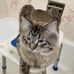 Deborah Kowal - Facebook