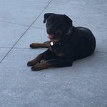 Deborah Braaten Kramer - @braatenkramer - Instagram