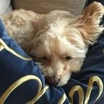 Deborah Kramer - @deborahkramer29 - Instagram