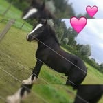 @deborahkramer13 - Instagram