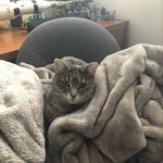 Deborah Krause - @dkrause1259 - Instagram
