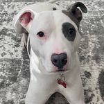Deborah Krause Short - @deborahkrauseshort - Instagram