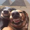 DeborahKrause - @f3d97093dfy - TikTok
