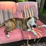 Deborah Collins Krueger - @debbiek720 - Instagram