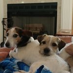 Debra Krueger - @debra.krueger - Instagram