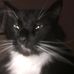 Deborah Langley - Facebook
