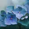Deborah Langley - @saphireyesdeb - TikTok