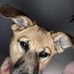 Deborah Langlois - Facebook
