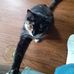 Debra Lassiter - Facebook
