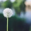 DeborahLaura - @user97708530754796 - TikTok