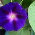 Deborah Lawson - Facebook